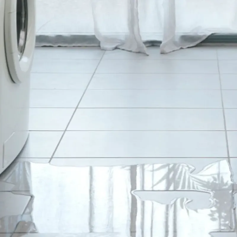 Appliance Leak Cleanup in Gulfport, FL