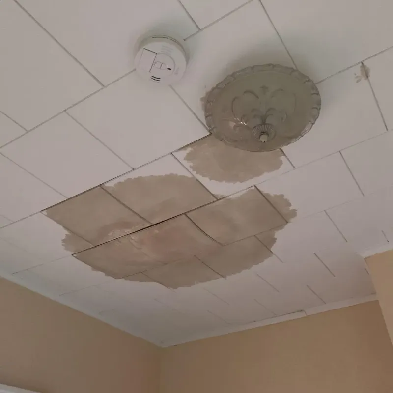 Ceiling Water Damage Repair in Gulfport, FL