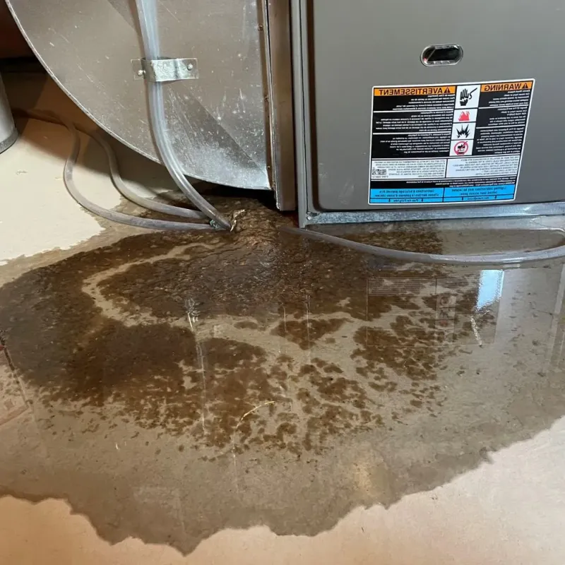 Pipe Burst and Leak Restoration in Gulfport, FL